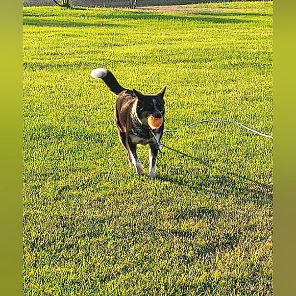 COPY - MISSY'S BLOG - Picture 4 of 8